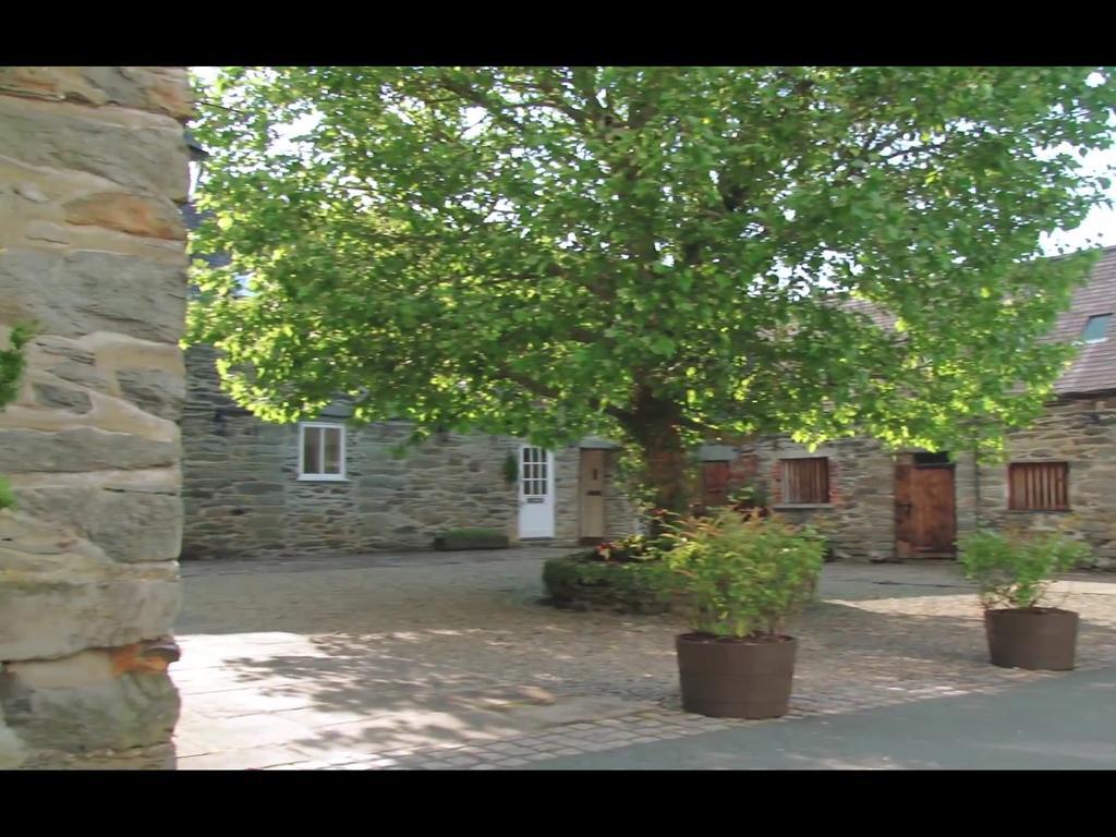 Bryn Melyn Farm Cottages Bala Kültér fotó